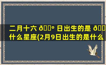 二月十六 🌺 日出生的是 🐦 什么星座(2月9日出生的是什么星座)
